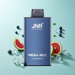 JNR Mega Box 25000 גלידת אוכמניות כחולה