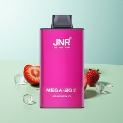 JNR Mega Box 25000 גלידת תות