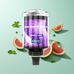 JNR Mega Shisha Hookah 100K ענבת נענע