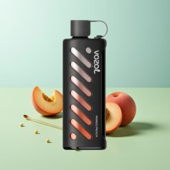 VOZOL Gear Shisha 25000 מנגו אפרסק