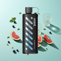 VOZOL Gear Shisha 25000 מנטה אוכמניות